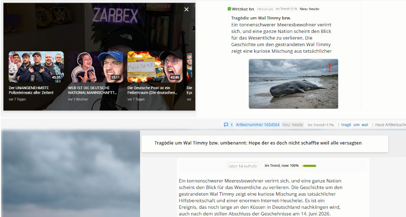 Programmierung Videoinhalte platzieren